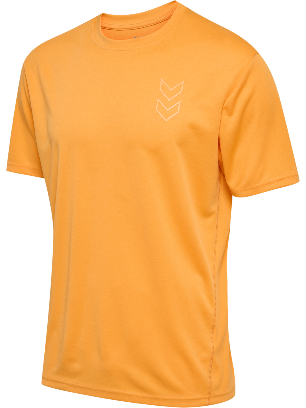 hmlACTIVE PL JERSEY S/S