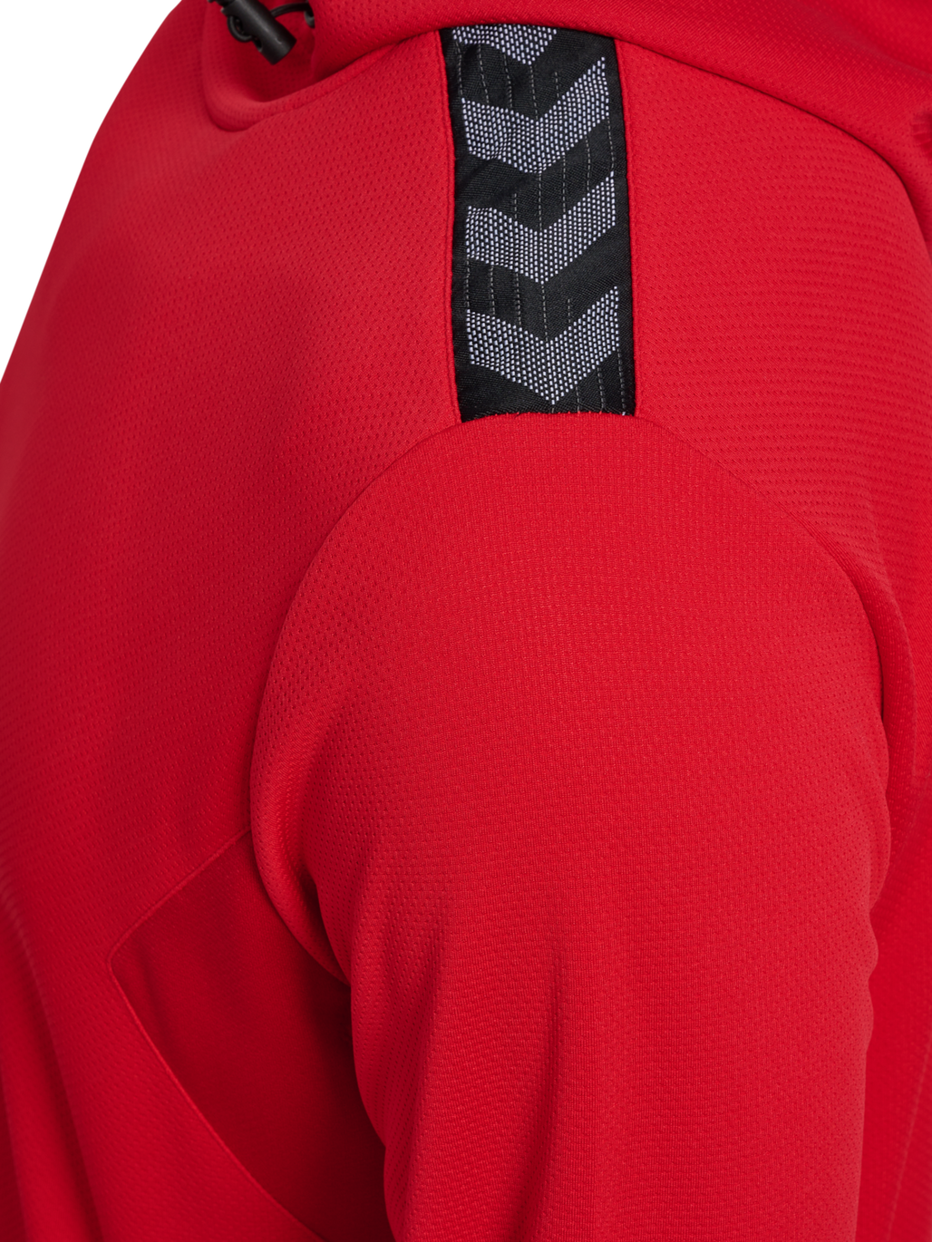 hmlAUTHENTIC PL HOODIE