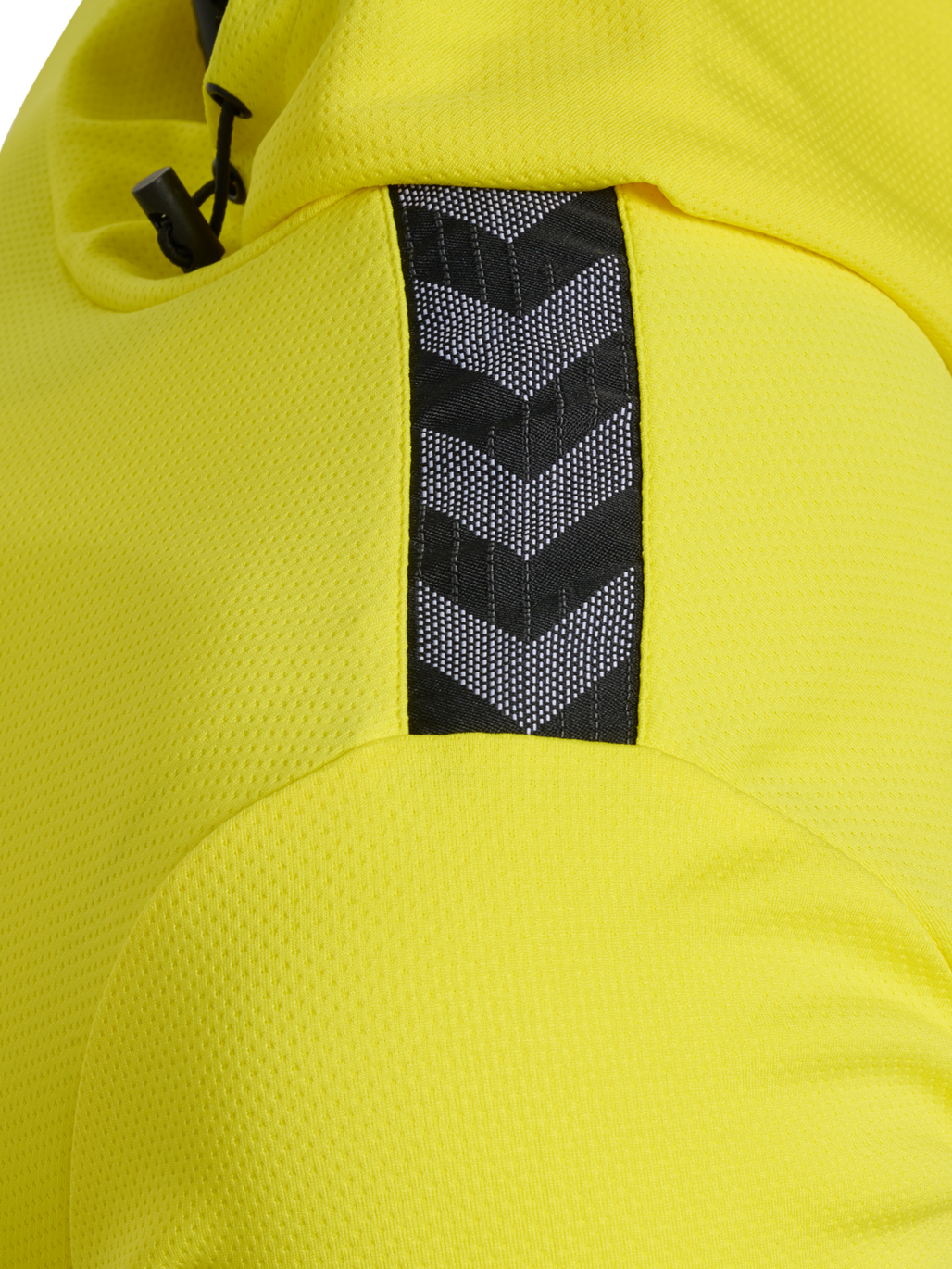 hmlAUTHENTIC PL HOODIE