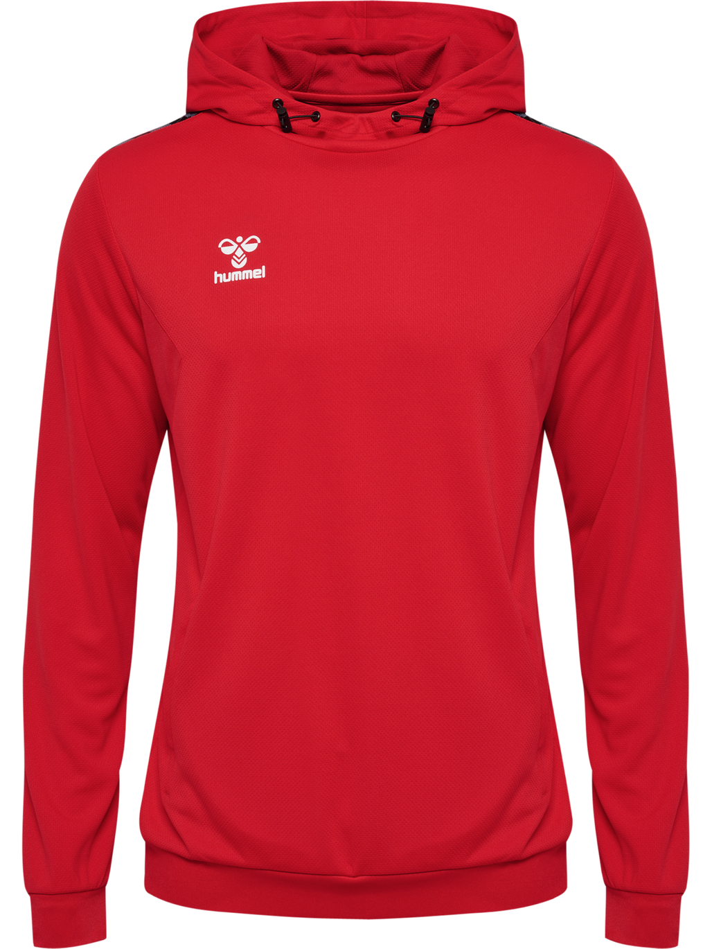 hmlAUTHENTIC PL HOODIE