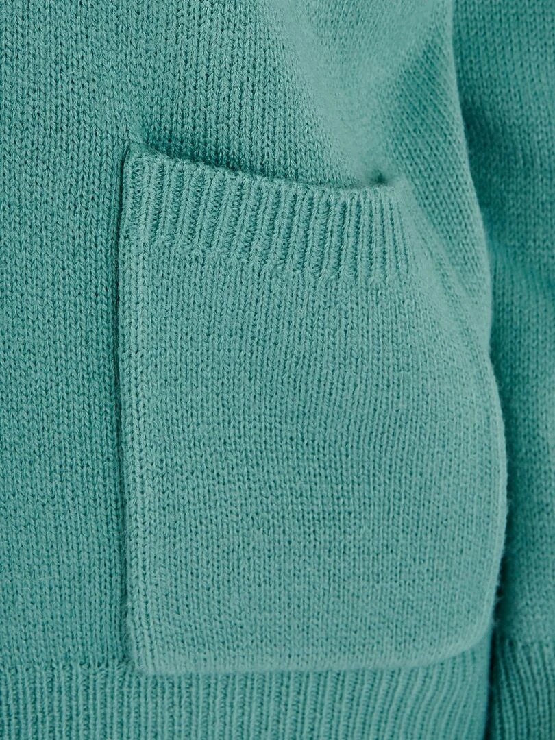 Gilet classique maille jersey    Damart   Vert clair