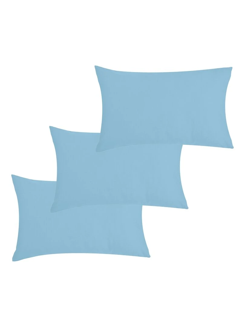 Lot x3 Taies d'oreiller 40x60 cm 100% coton Bio 'Ptit Basile' Bleu ciel