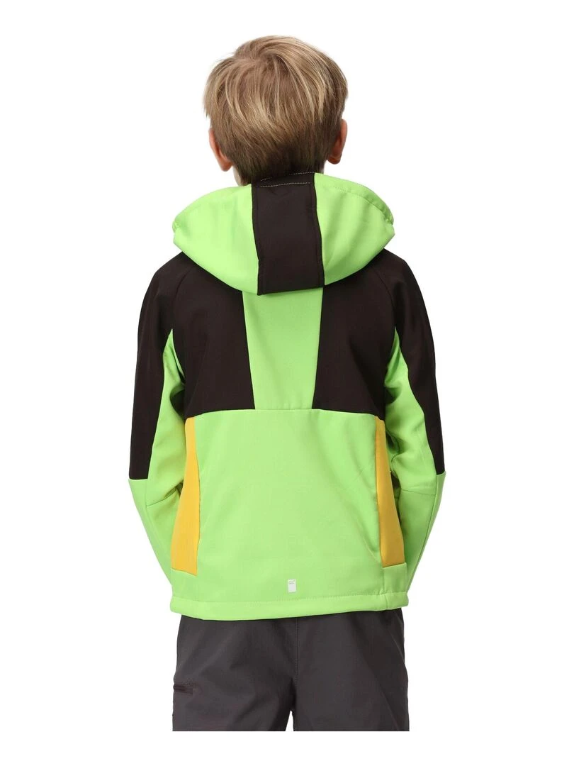 Regatta   Veste softshell HAYDENBURY   Vert clair