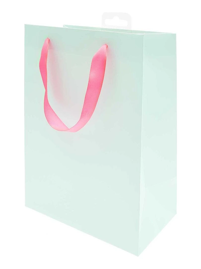 Sac cadeau menthe 26 x 32 cm Vert