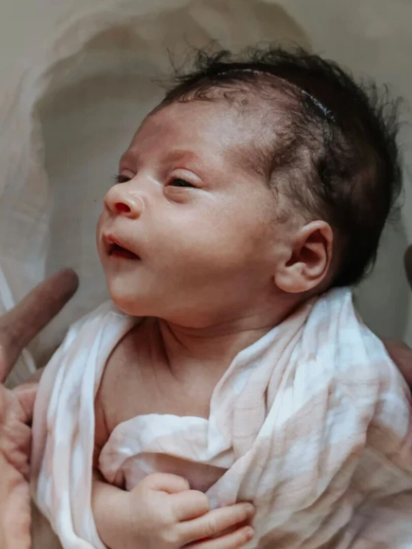 Lange Jardin Zen   Abricot