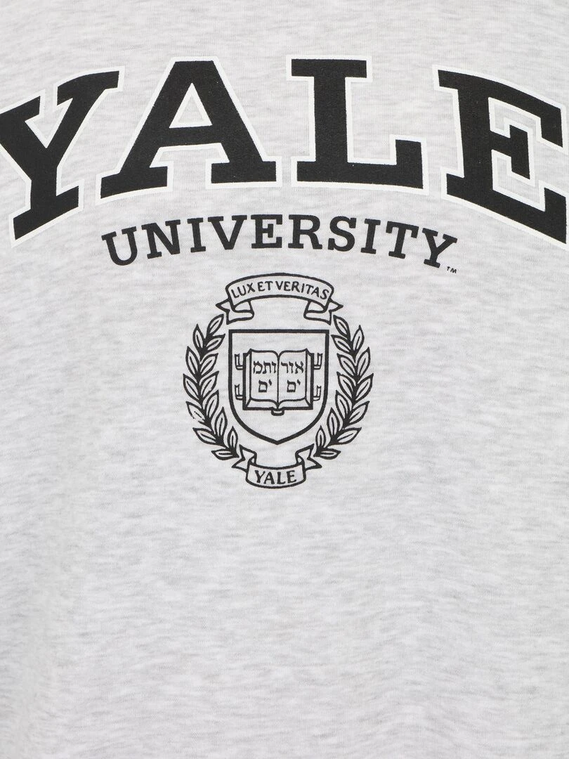 Sweat à capuche adulte YALE university logo   Polycoton   Gris chiné   XXL   Gris