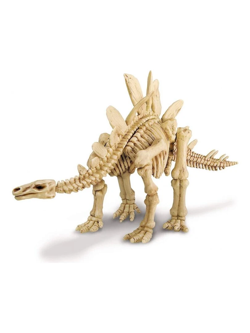Deterre Ton Dinosaure Stegosaurus   N/A