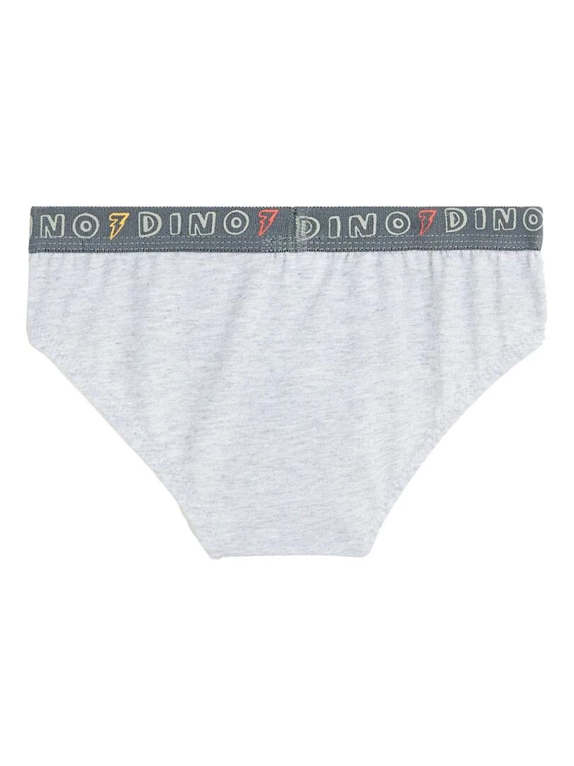 Lot de 3 slips garçon Tadam   Gris