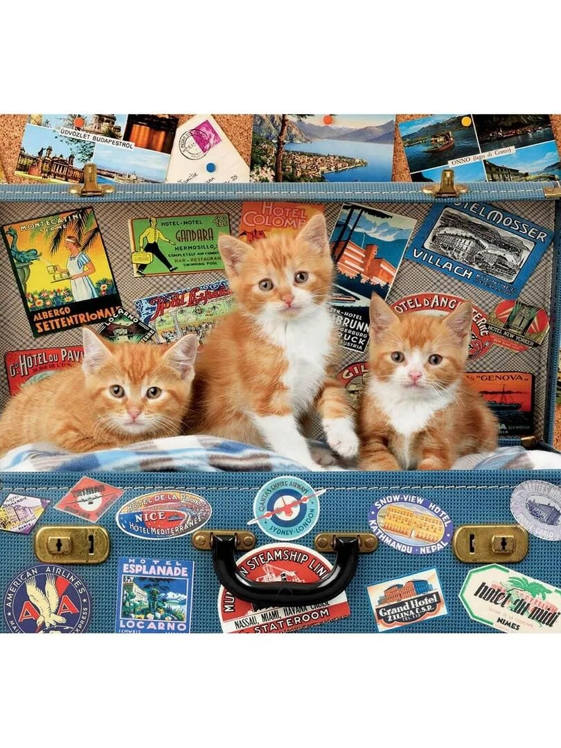 Puzzle 200 pièces : Petits chats voyageurs N/A
