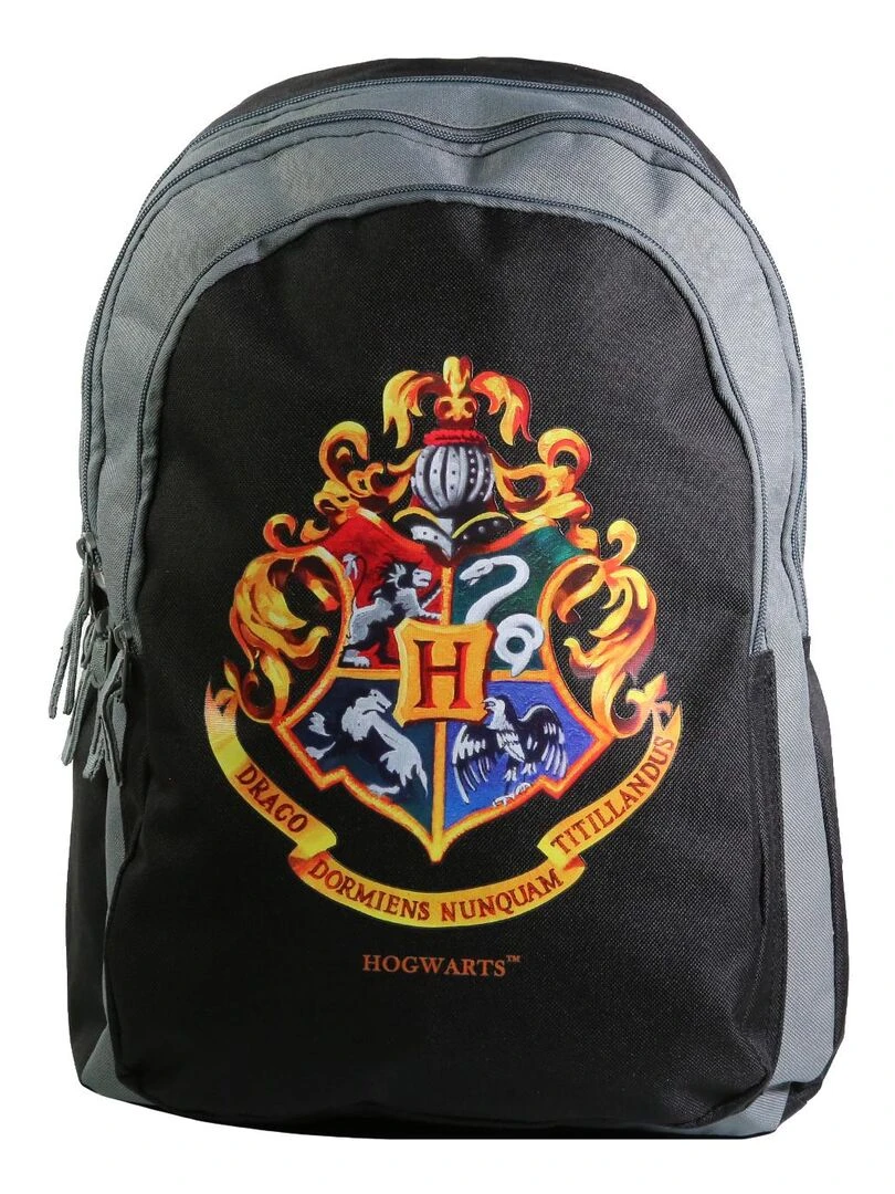 BAGTROTTER Sac à dos 2 compartiments 46 cm Harry Potter Noir Noir