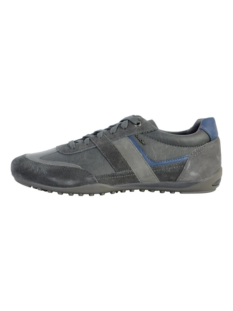 Basket Cuir Geox Wells Gris