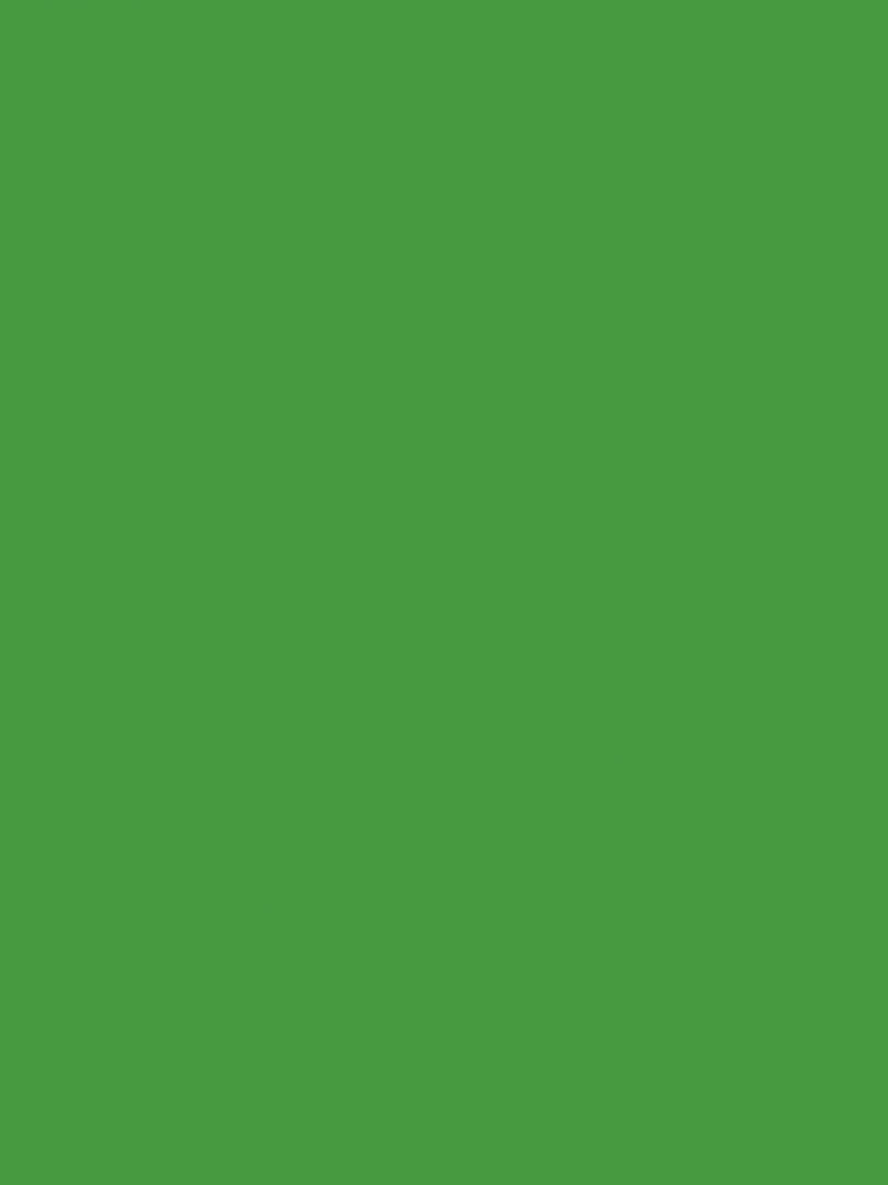 Peinture acrylique opaque brillante Vert printemps 45 ml N/A