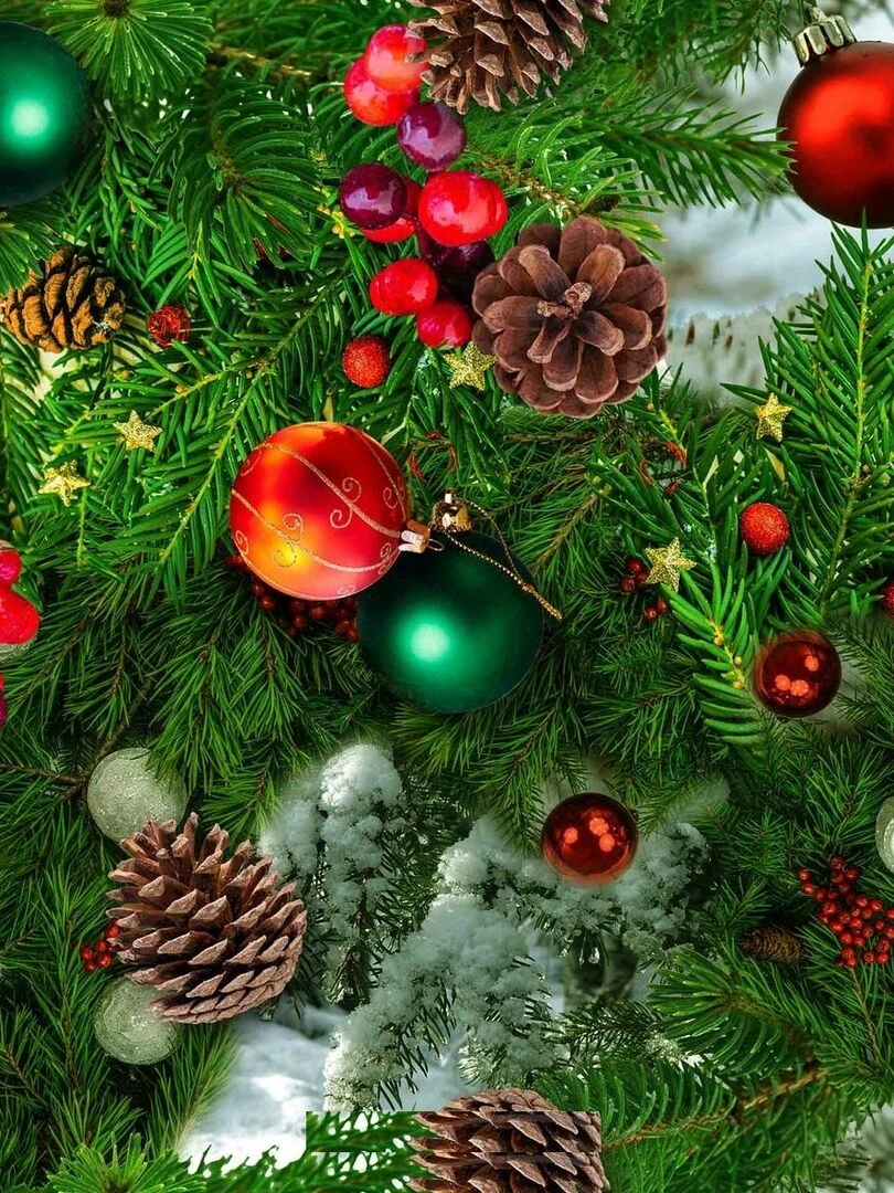Nappe Toile cirée au mètre Noel christie Vert