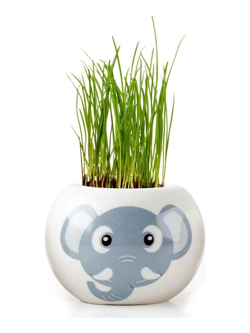 Kit jardinage : céramique Éléphant   N/A