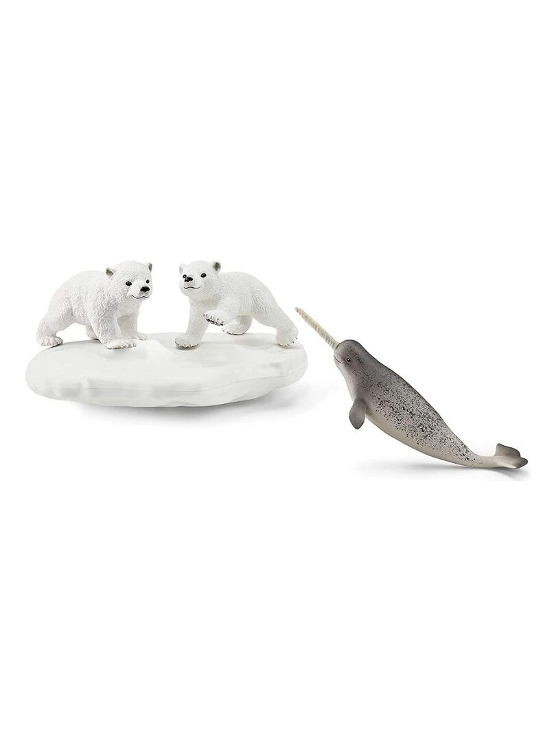 Glissade des ours polaires   N/A