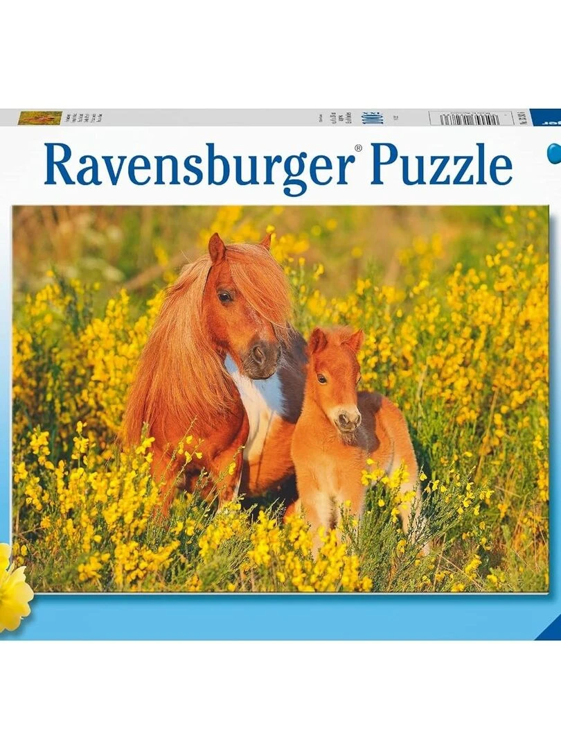Puzzle pour enfant Poneys Shetland N/A