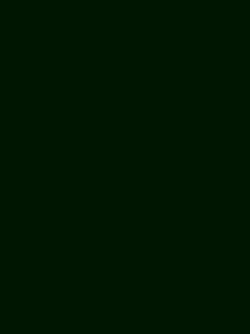 Peinture céramique et multi surfaces Vert feuille 45 ml N/A