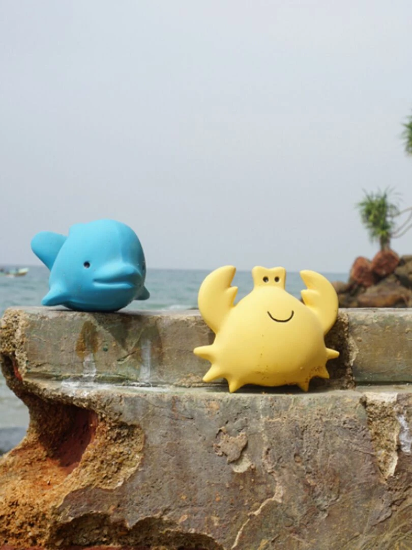 Jouet de bain dauphin Ocean buddies   Bleu