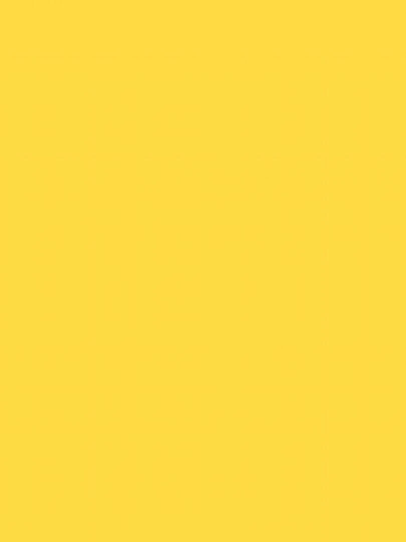Peinture acrylique opaque mate   Jaune citron   45 ml   N/A