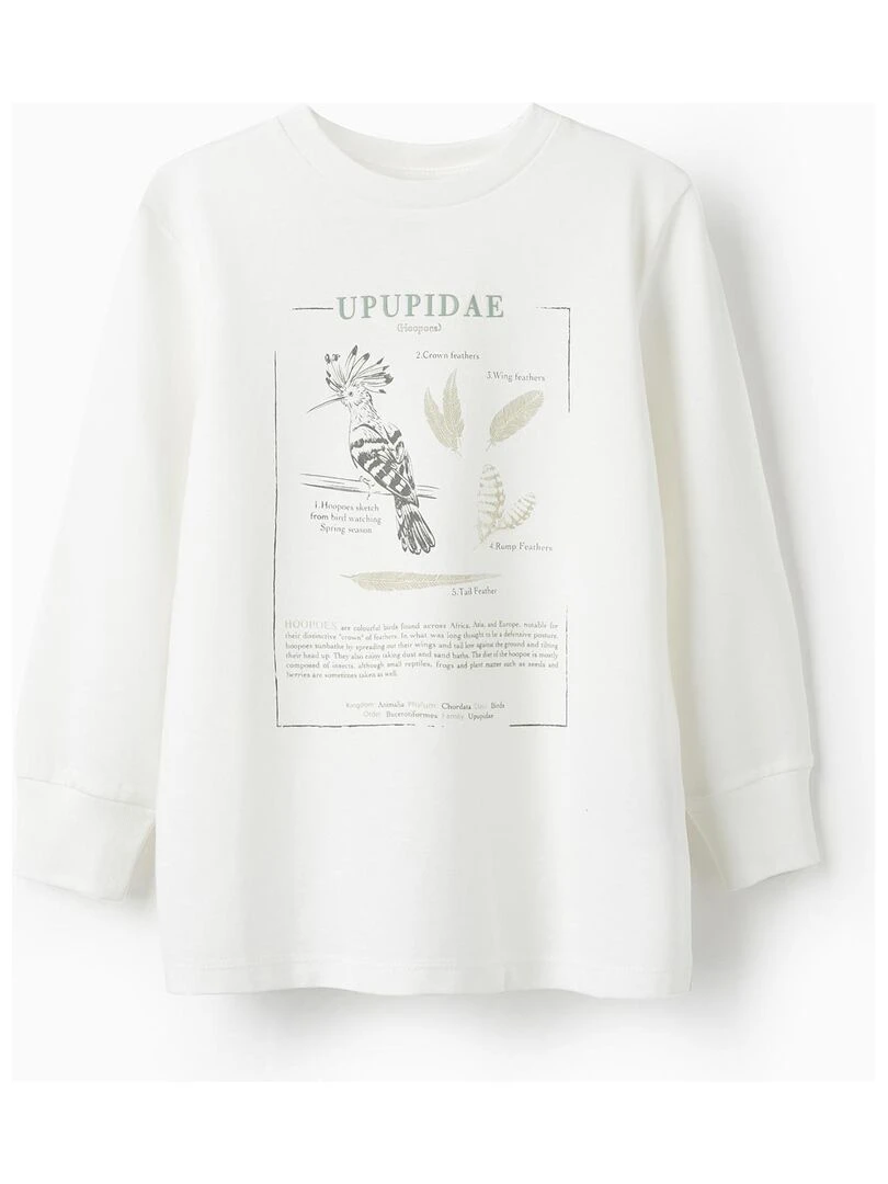 T shirt à manches longues pour garçon 'Upupidae' manches longues Blanc