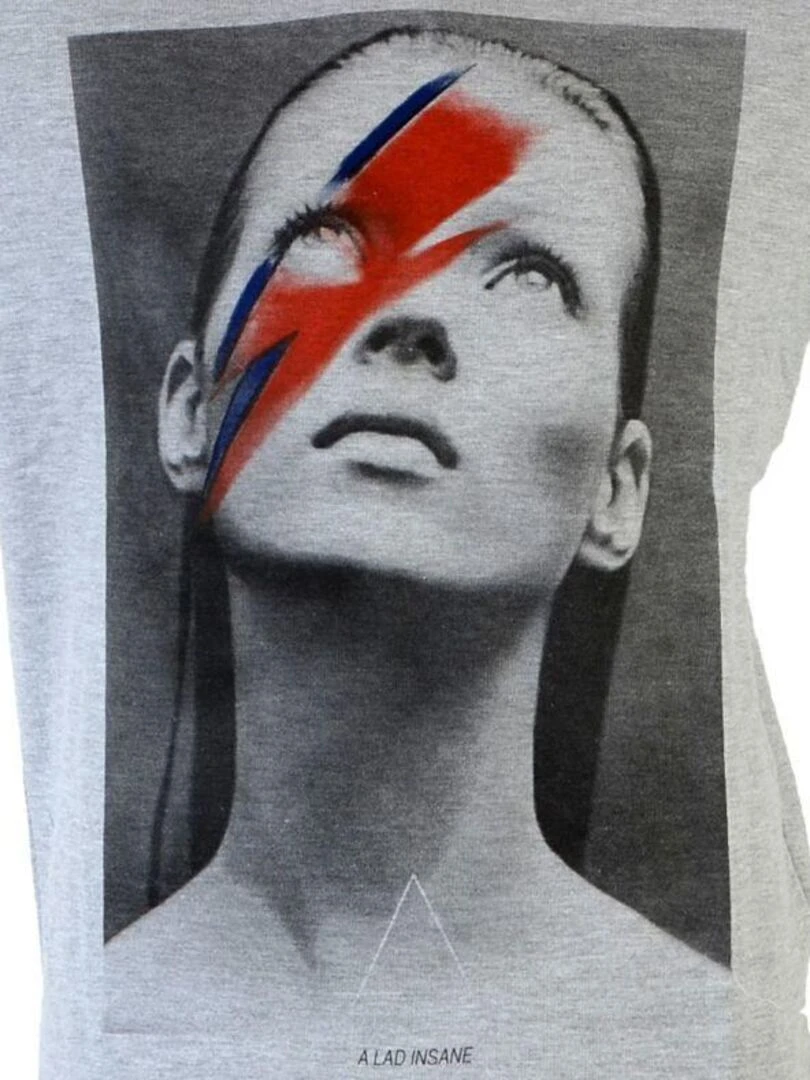 Sweat Eleven Paris Katos HD Kate Moss Gris