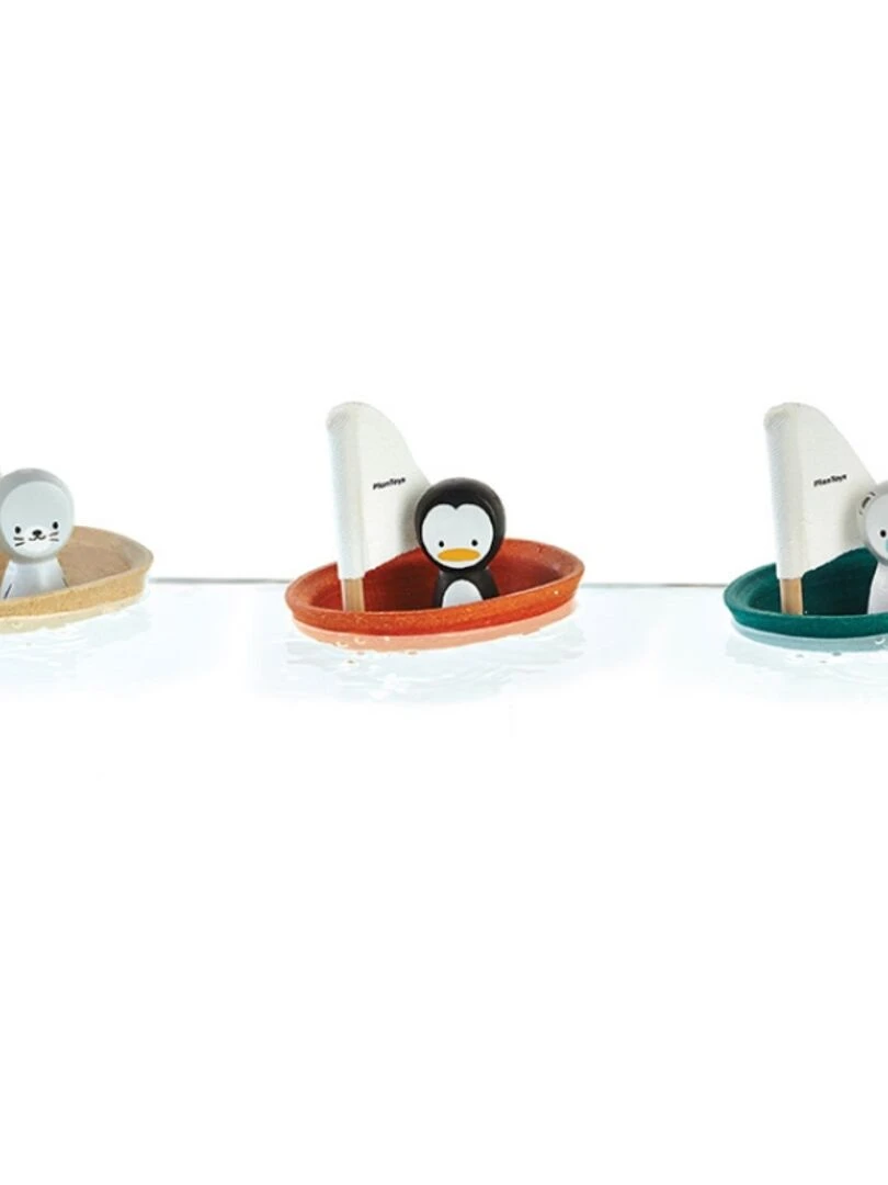 Bateau phoque   Gris