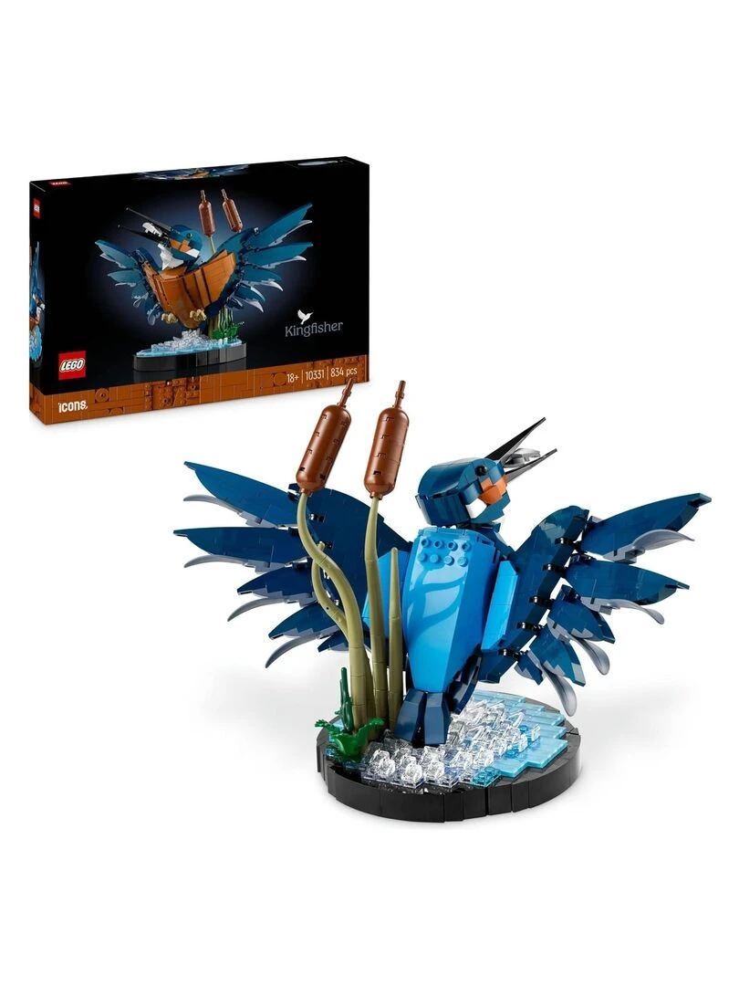 Le martin pêcheur   N/A