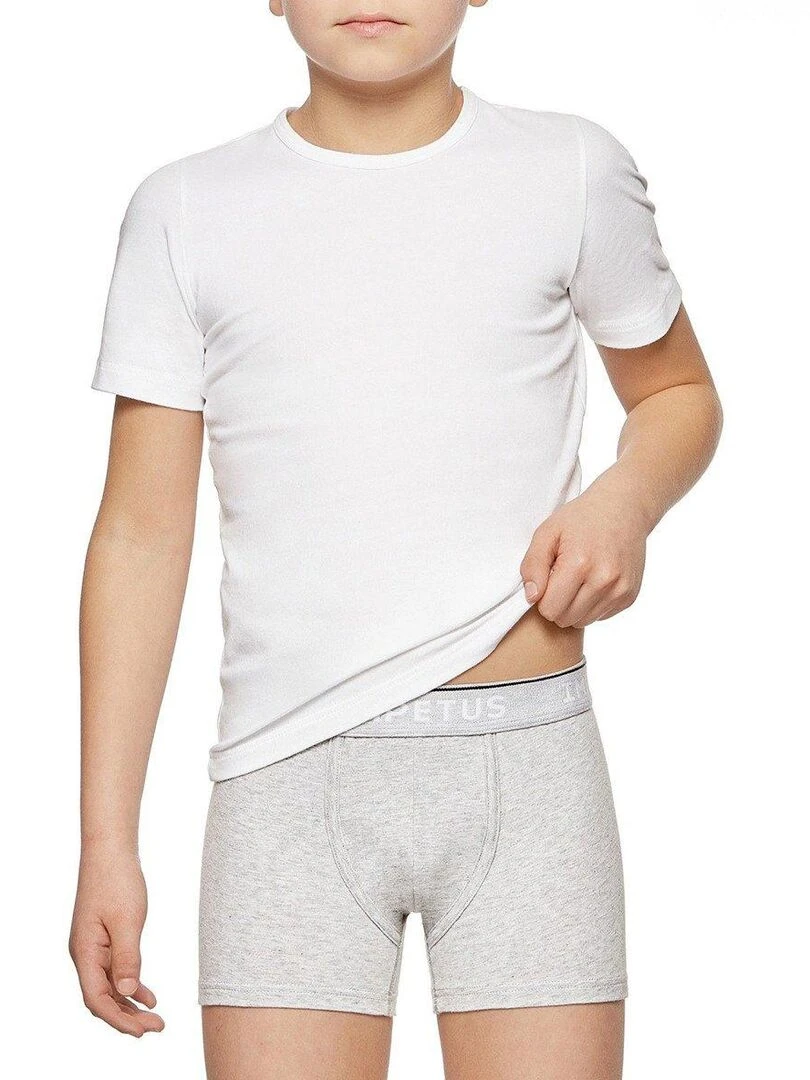 Pack de 2 boxers en coton bio   Gris