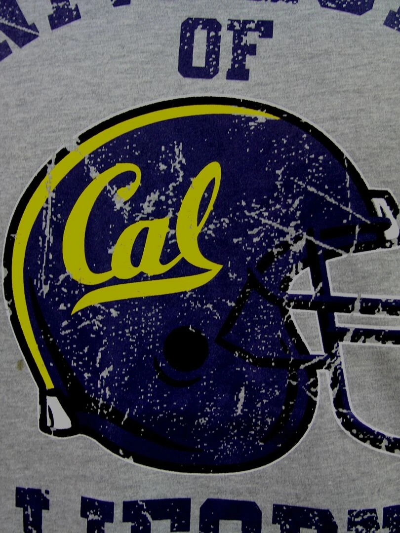 T shirt coton 'American Freshman' 'Zach'   Gris