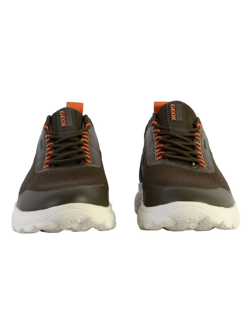 Basket à Lacets Geox U Spherica A Knitted   Vert