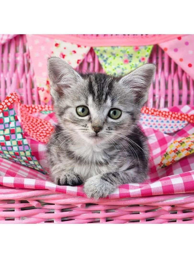 Puzzle 100 pièces XXL : Joli chaton N/A