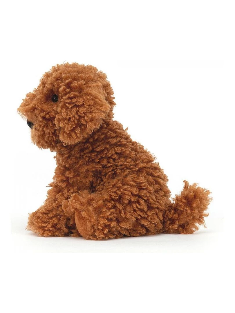 Cooper Doodle Dog   Marron