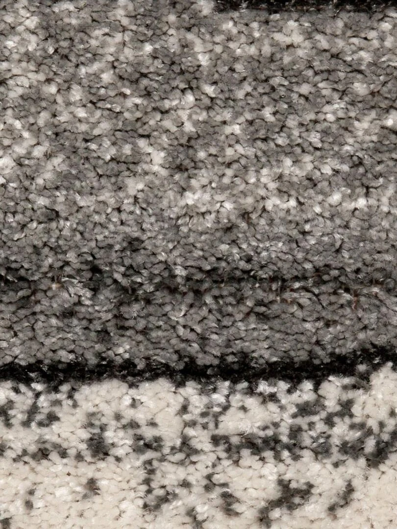 Tapis salon LIGNARAI Gris