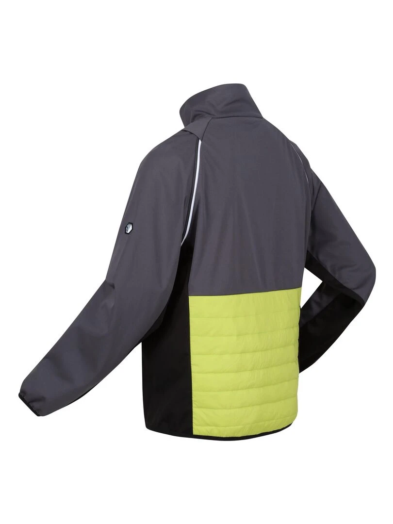 Regatta   Veste softshell STEREN HYBRID   Gris Vert Gris