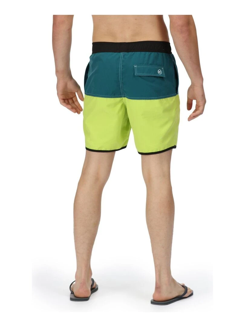 Regatta   Short de bain BENICIO   Vert