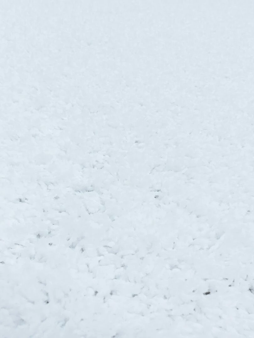 Tapis shaggy UNI I OEKO TEX® Blanc