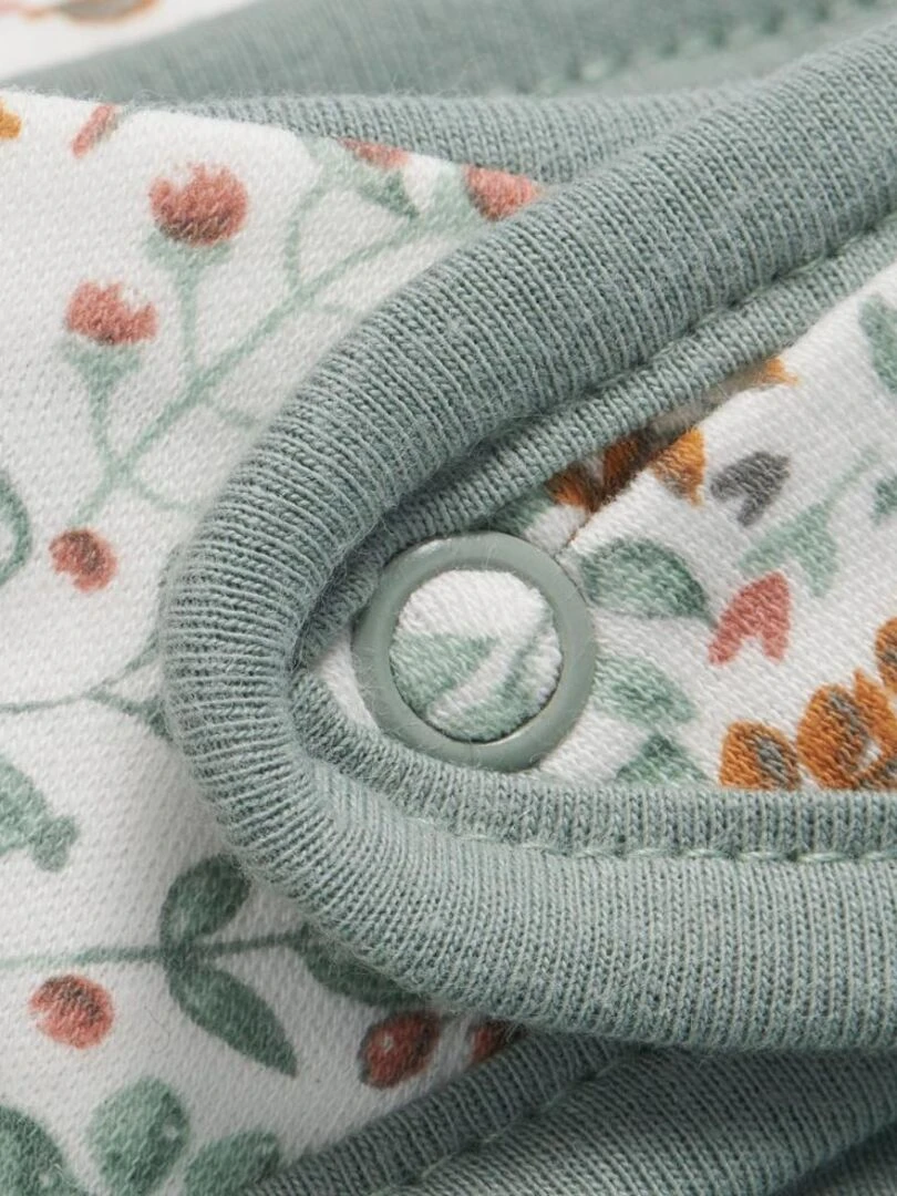 Lot de 2 bavoirs bandana Bloom   Gris