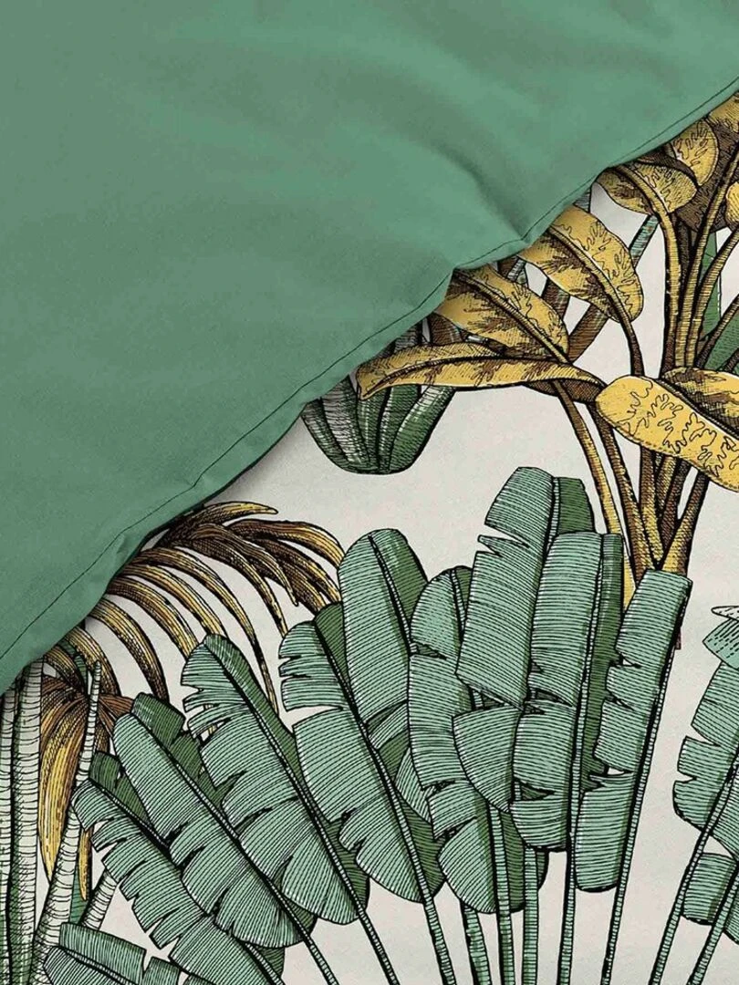 Housse de couette 240x220 + 2 taies Balinesia coton 57 fils Vert