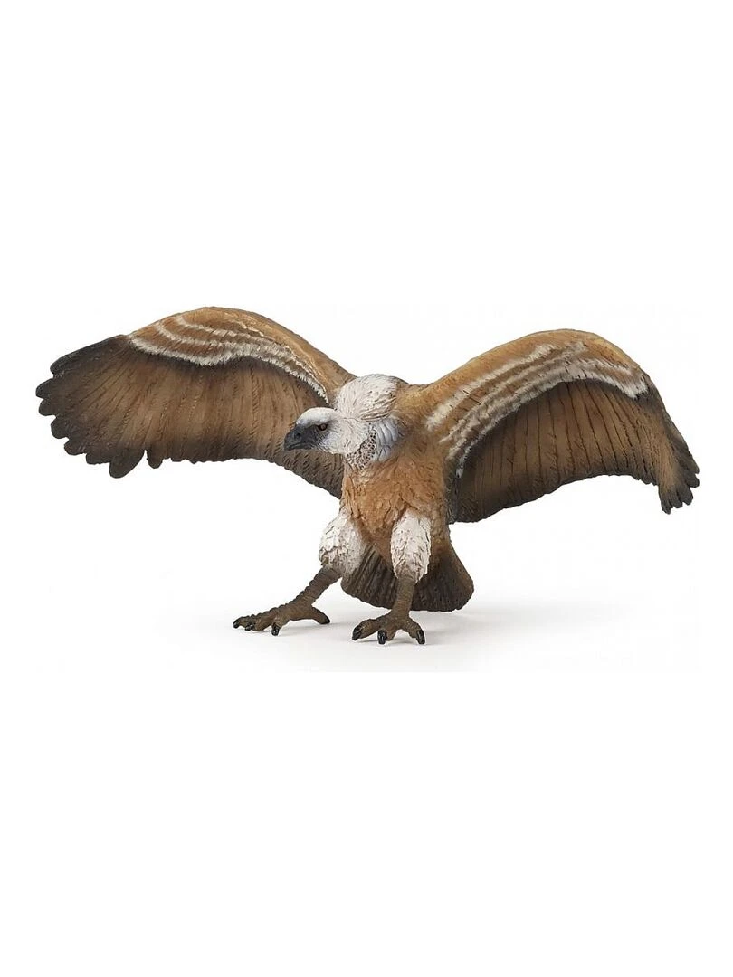 50168 Le Vautour Oiseau Ailes Deployees   N/A