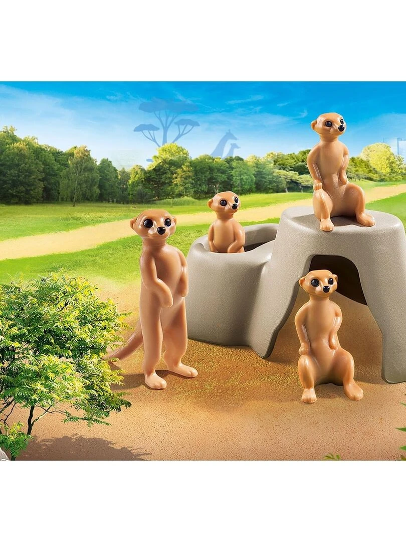 Suricates et rocher   N/A