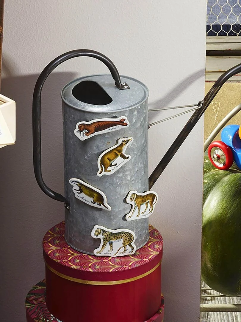 Magnets zoologiques de Buffon   Muséum national d'Histoire naturelle   N/A