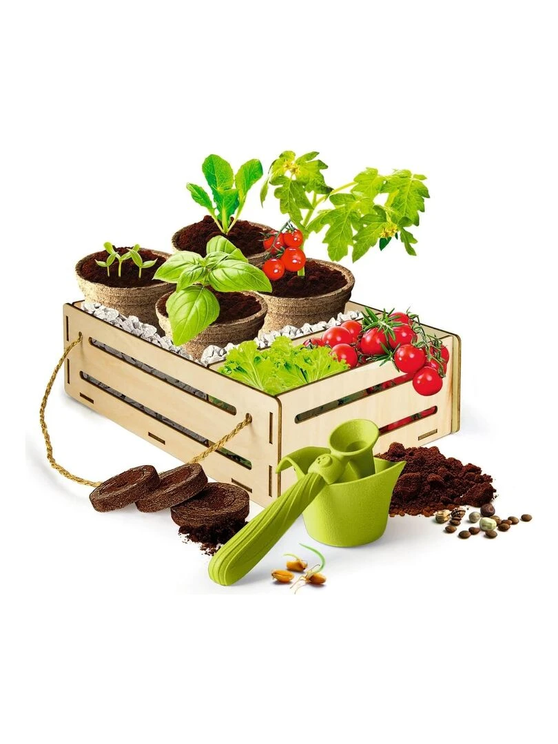 Kit science et jeu : Play for Future : Jardin potager N/A
