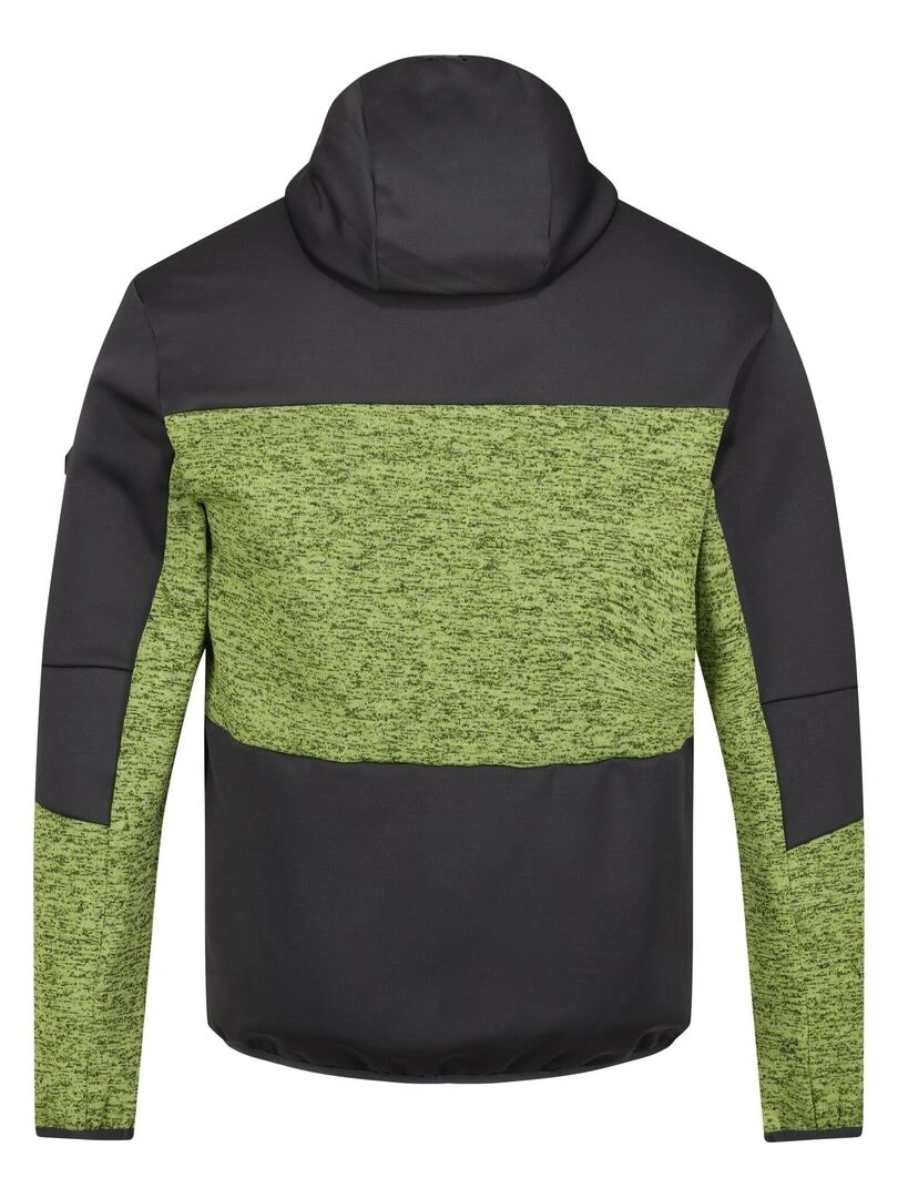 Regatta Veste polaire CADFORD Vert