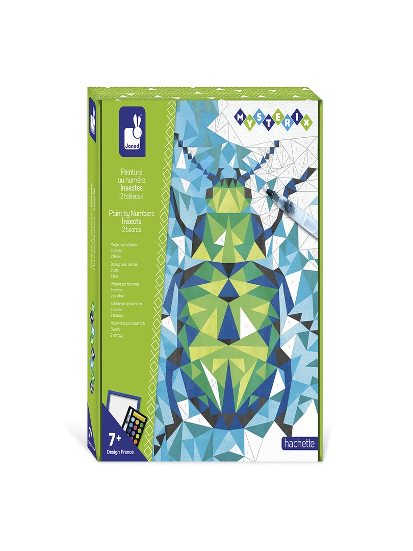 Peinture Au Numero Insectes   N/A