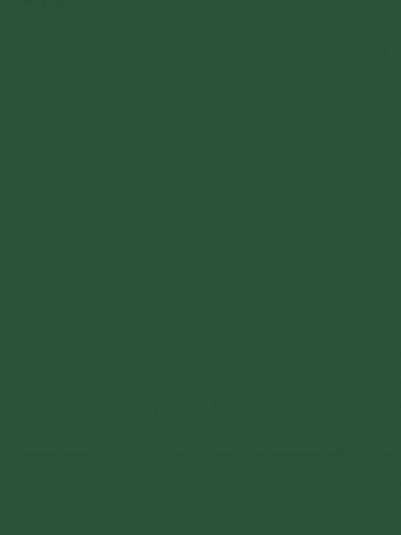 Peinture acrylique opaque mate Vert sapin 45 ml N/A