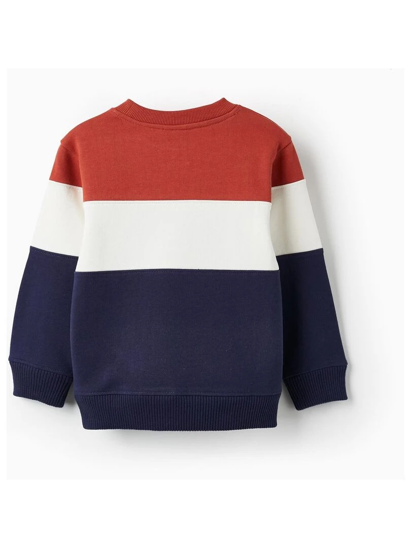 Sweat en coton pour garçon ATLANTIC COMPANY Bleu