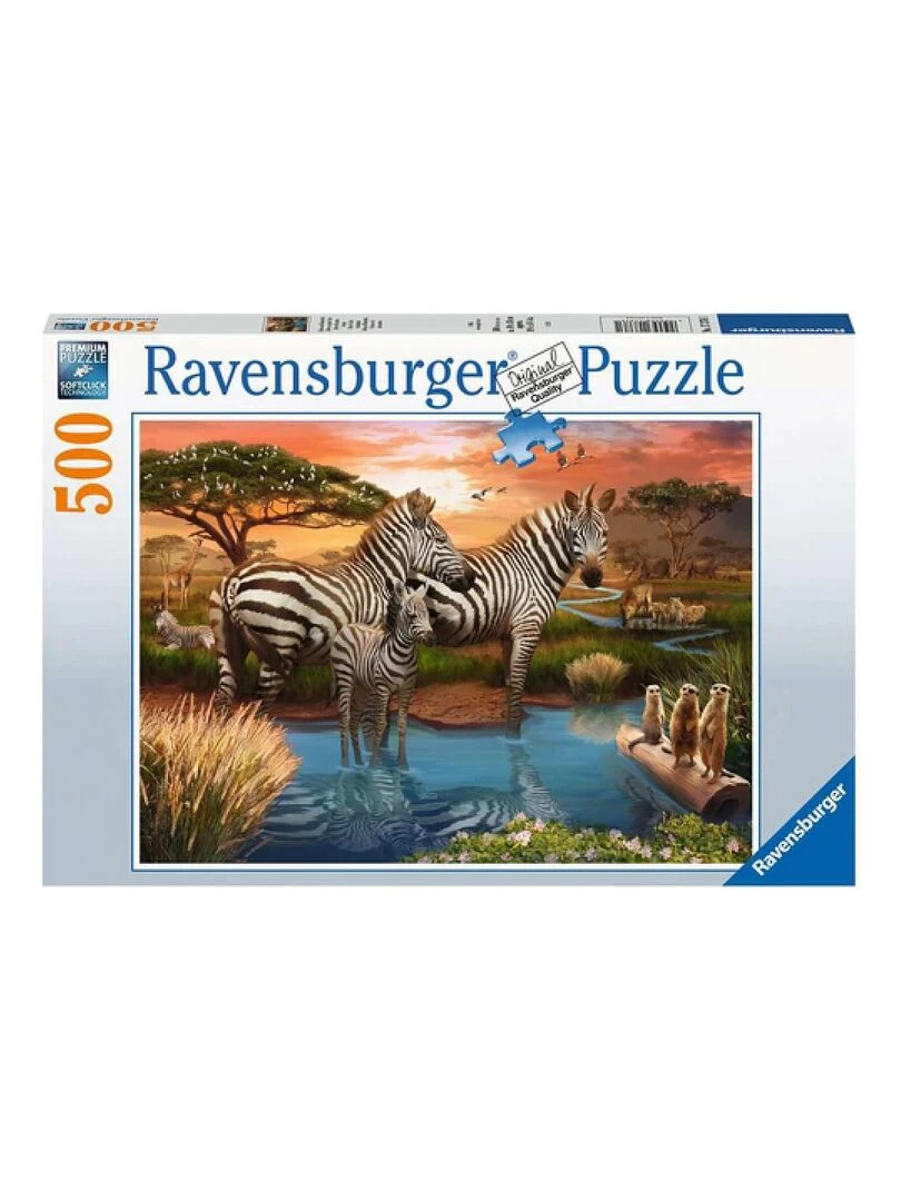 500 pcs zebres au plan d'eau N/A