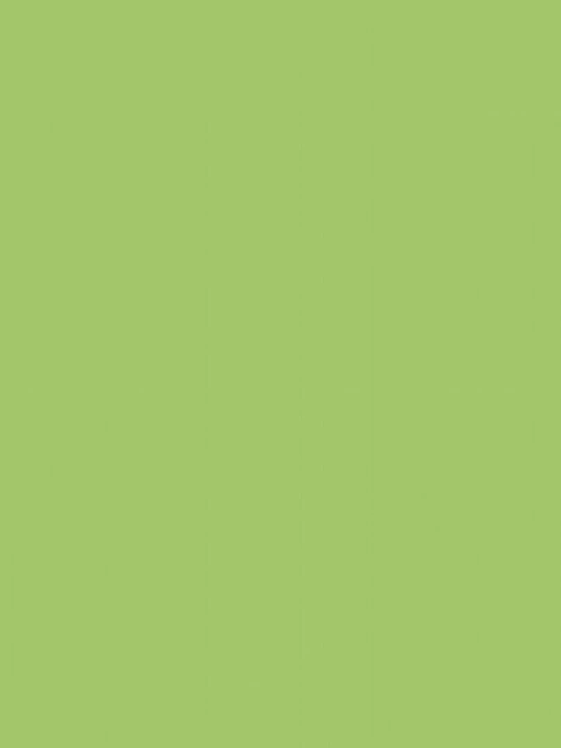 Peinture acrylique opaque brillante Vert lumière 45 ml N/A