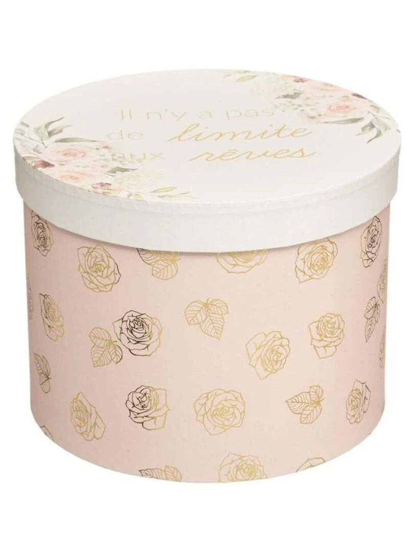 Lot de 3 boites rondes Princesse   Rose