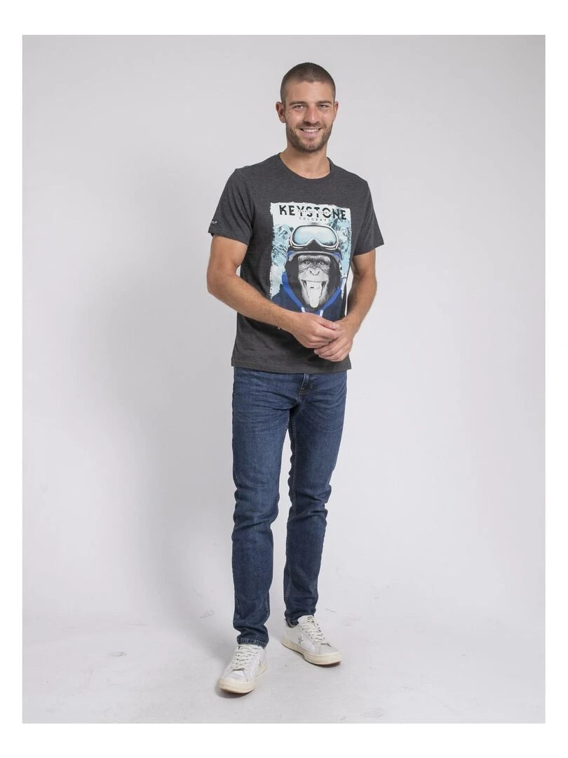 T shirt col rond pur coton JACOSKI   Gris foncé